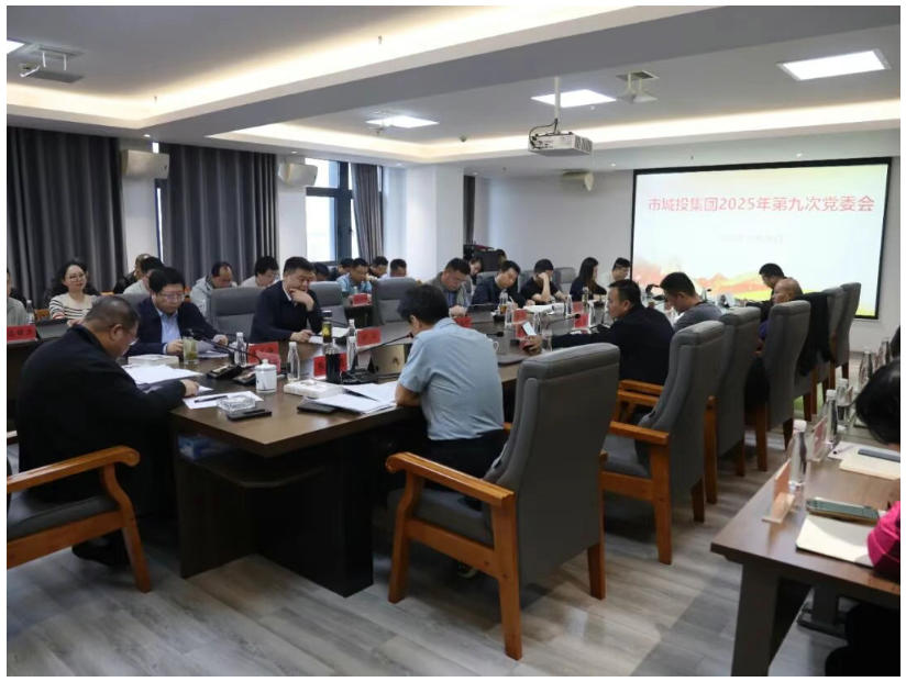 市城投集團召開黨委會傳達學(xué)習貫